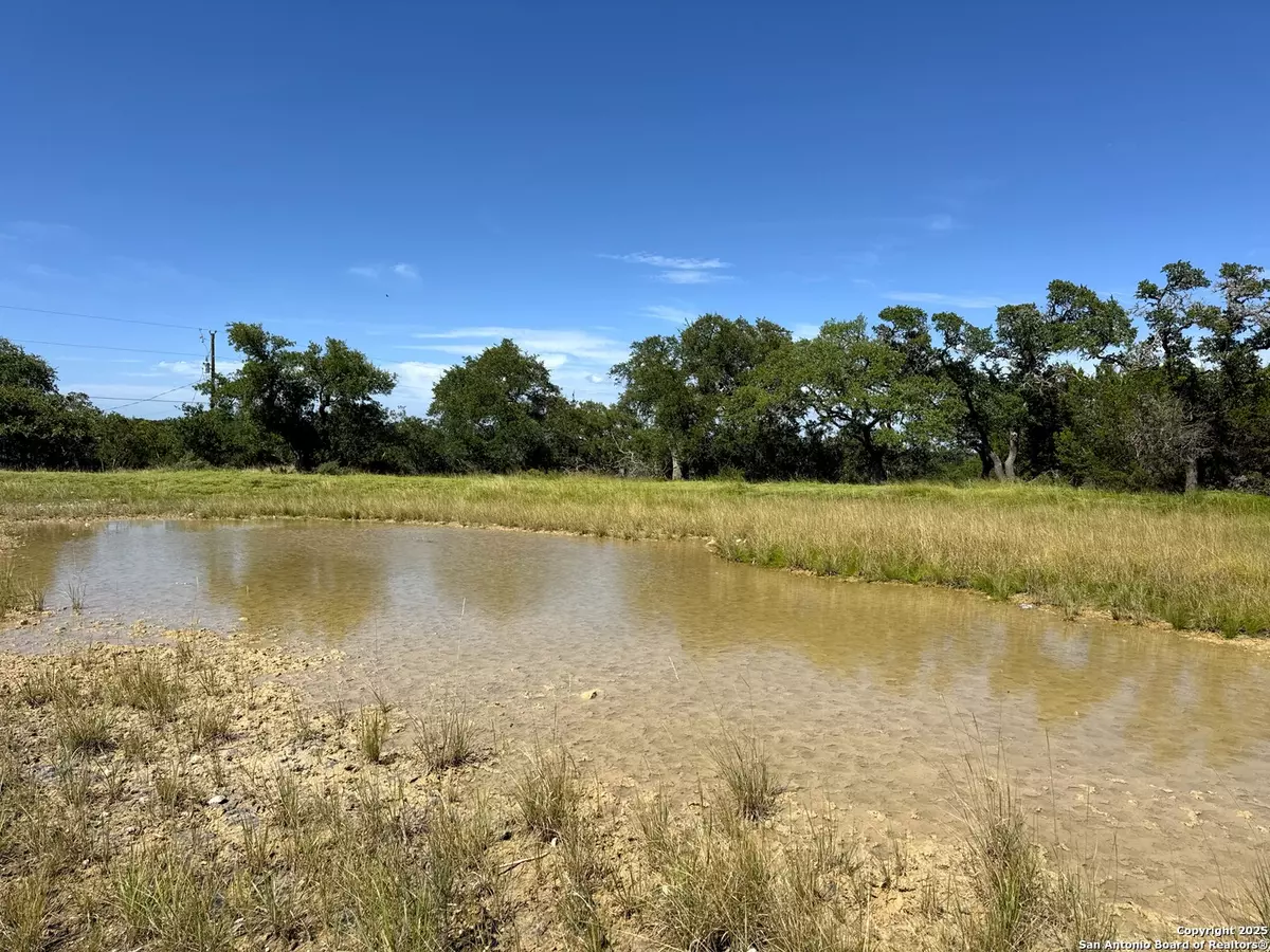 Spring Branch, TX 78070,311 Toucan
