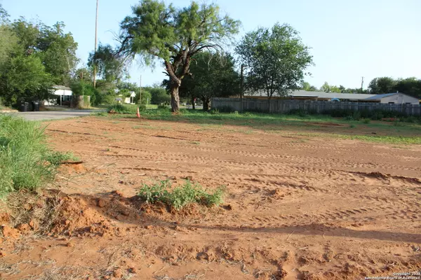 Pearsall, TX 78061,519 Chestnut
