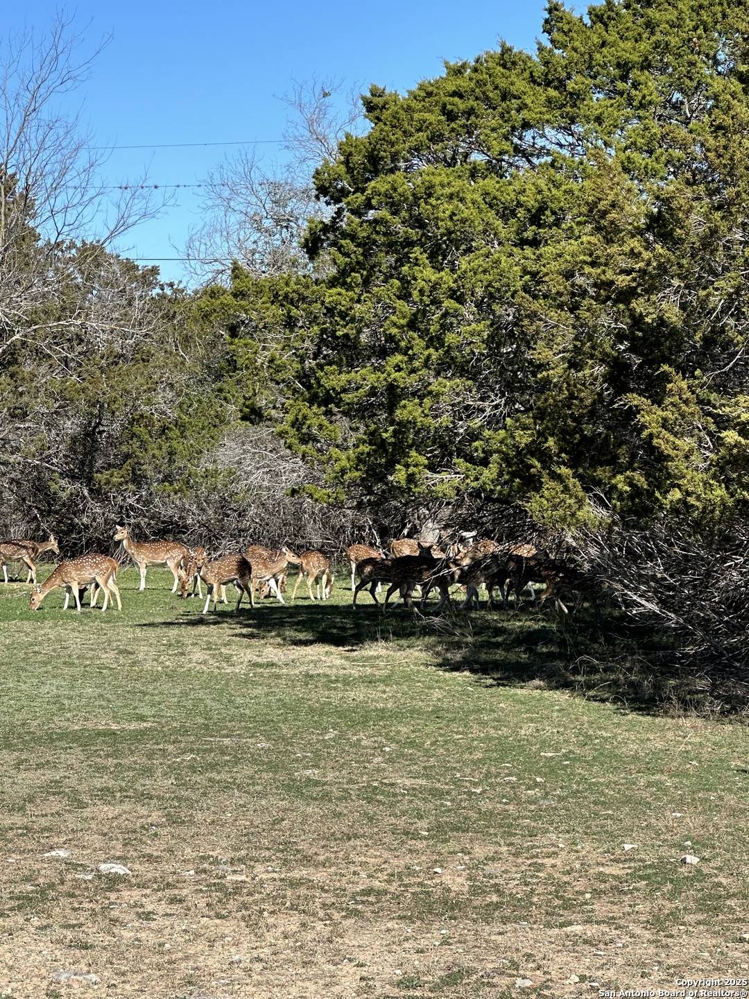 0 deerwood circle, Bandera, TX 78003