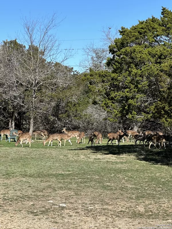 Bandera, TX 78003,0 deerwood circle