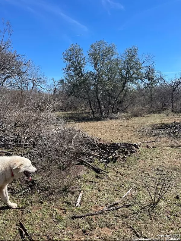 Devine, TX 78016,00 FM 2200