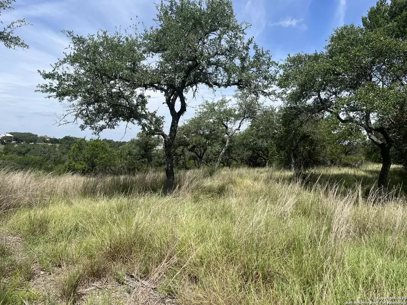 137 HILL MYNA, Spring Branch, TX 78070