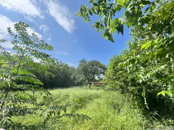 San Antonio, TX 78201,1143 Culebra Rd