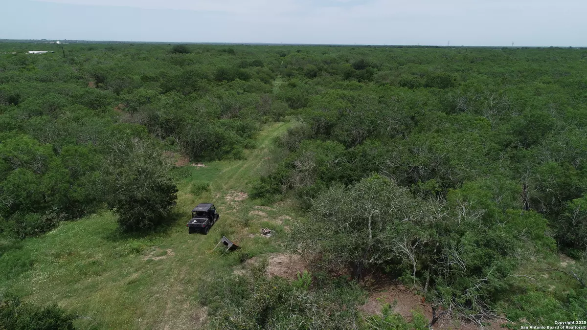 Goliad, TX 77963,TBD T10 Pierce Rd