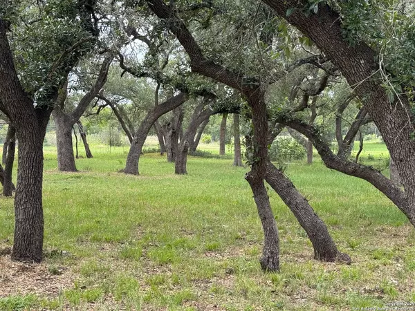 Spring Branch, TX 78070,318 crooked oak