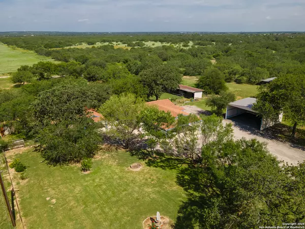 Lytle, TX 78052,400 Blue Quail