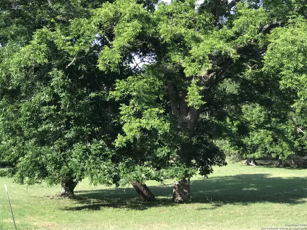 Boerne, TX 78006,11761 Barreal