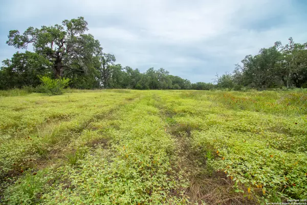 Spring Branch, TX 78070,000 Ridgeline acres