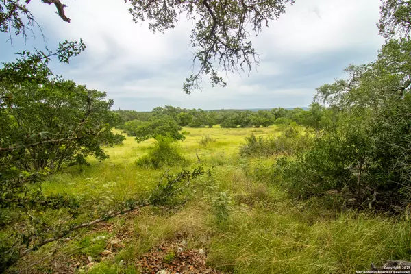 000 Ridgeline acres, Spring Branch, TX 78070