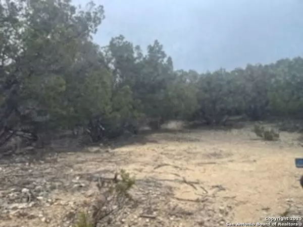 Bandera, TX 78003,TBD Center Pt Rd