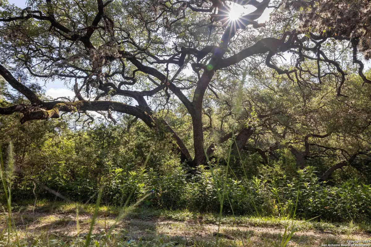 San Antonio, TX 78266,7622 Ramble