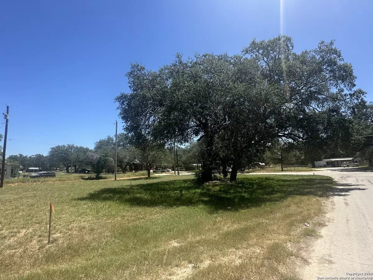 Devine, TX 78016,400 Davis