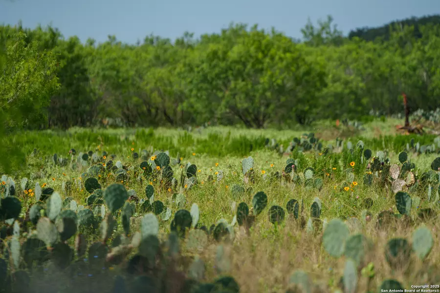 000 Brite Lane, Poteet, TX 78065