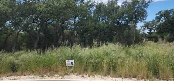 Bulverde, TX 78163,727 Blaze Ridge