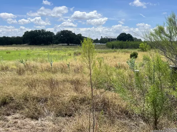 Bandera, TX 78003,LOT 295 Appaloosa Hollow