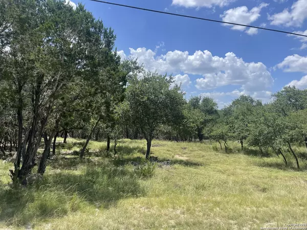 Boerne, TX 78006,713 Mountain Creek Trail