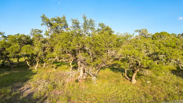Bulverde, TX 78163,711 Blaze Ridge