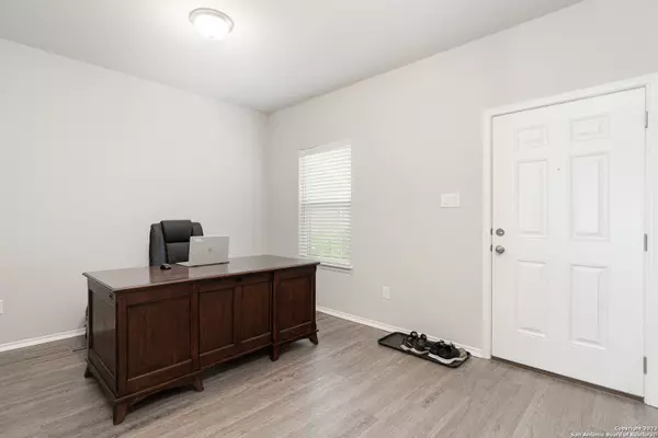 New Braunfels, TX 78130,556 long leaf