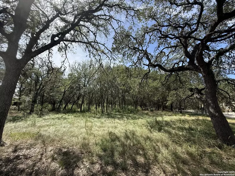 8403 Wild Wind Park, Garden Ridge, TX 78266