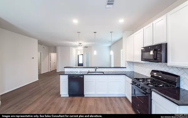 San Antonio, TX 78253,14736 Sycamore Crossing