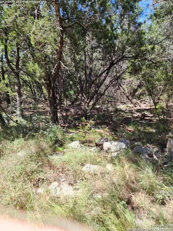 Spring Branch, TX 78070,769 Turkey Canyon