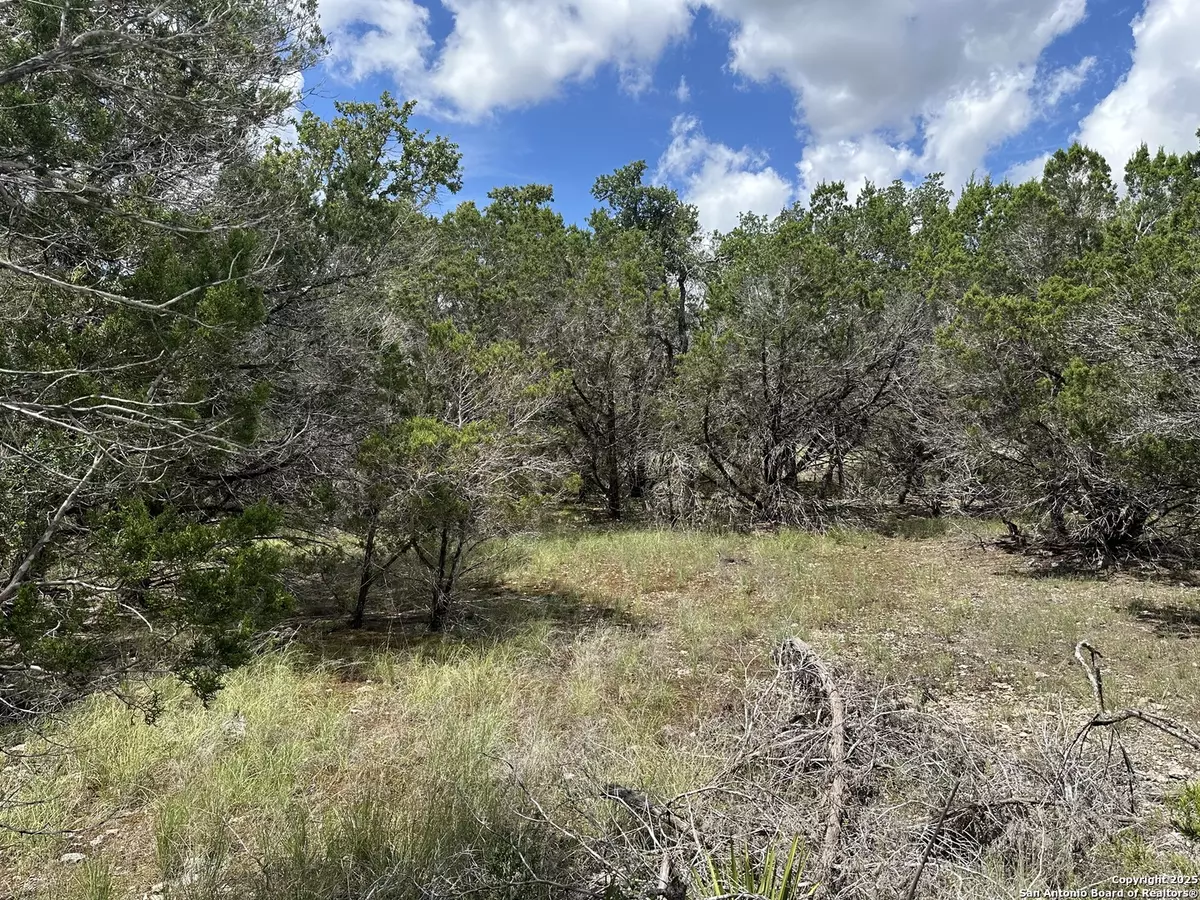 Spring Branch, TX 78070,7131 Rebecca Creek