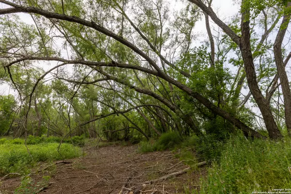 Atascosa, TX 78002,TRACT 2 Shepherd Road