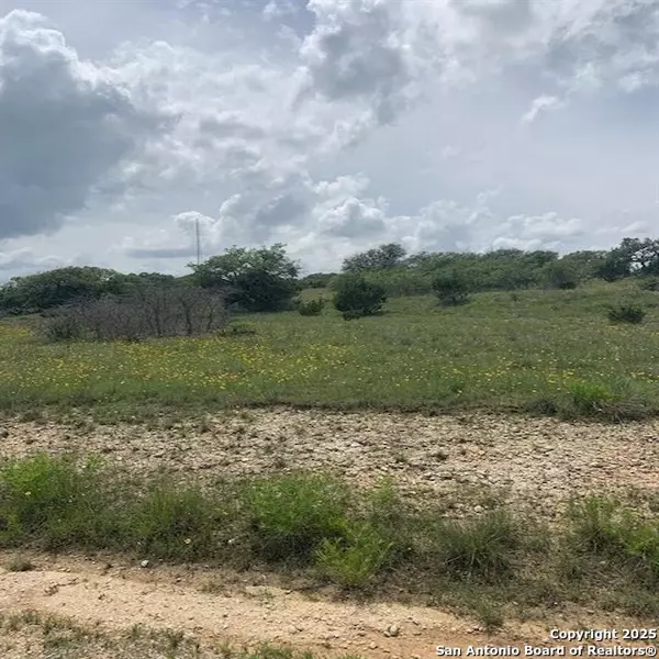 Blanco, TX 78606,102 William Tobin
