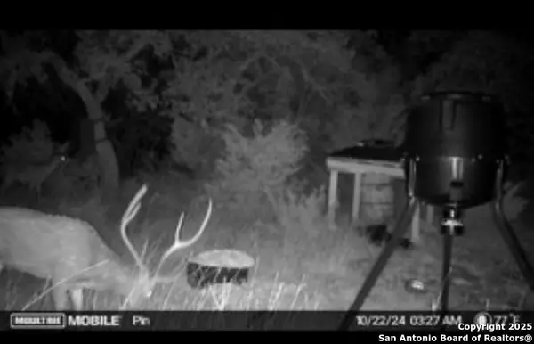 Rocksprings, TX 78880,TBD SD31500
