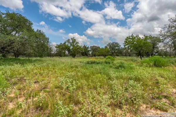 Natalia, TX 78059,330 Encino Crossing