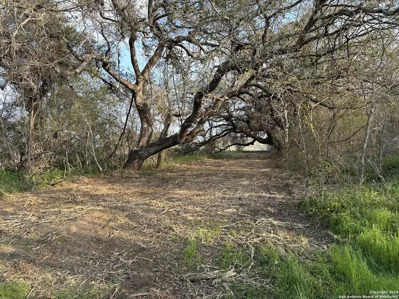 126 TEJEDA LN, Floresville, TX 78114