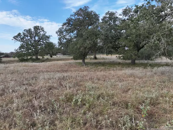 Pleasanton, TX 78064,TBD Broom Rd