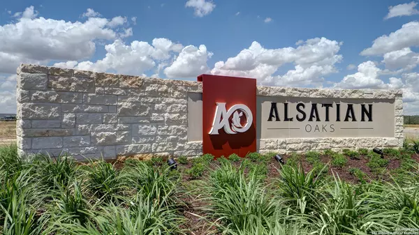 Castroville, TX 78009,216 Lacey Oak