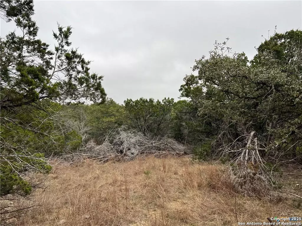Spring Branch, TX 78070,713 Stagecoach