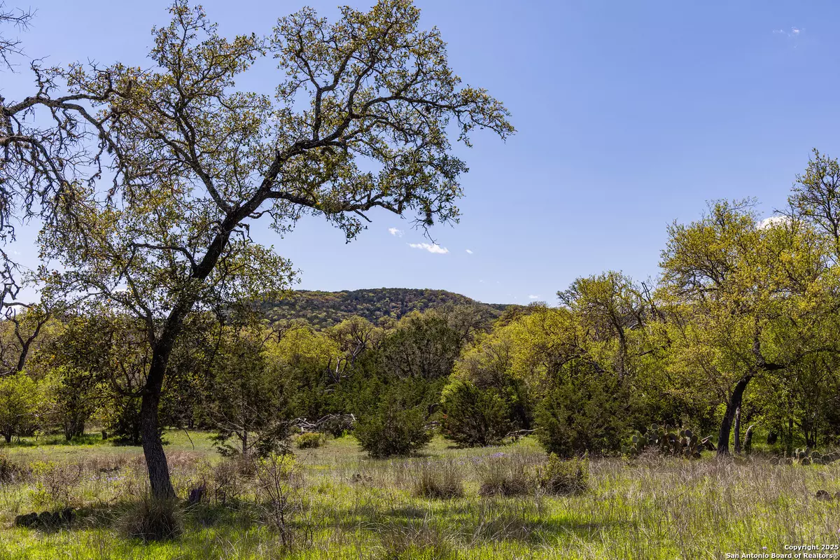 Medina, TX 78055,0 Hwy2107