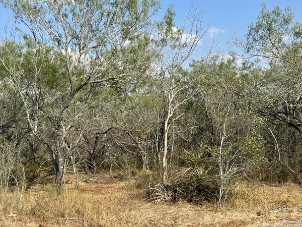 Stockdale, TX 78160,5986 Fm 1107 Unit B