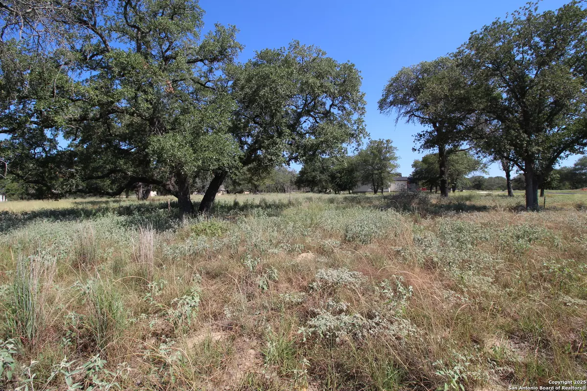 Adkins, TX 78101,105 Pioneer Trail