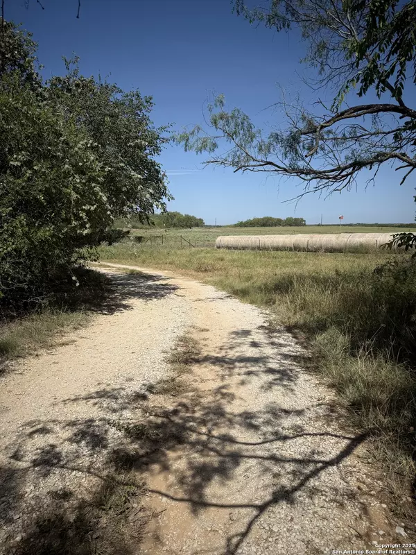 2015 County Road 420, Stockdale, TX 78160