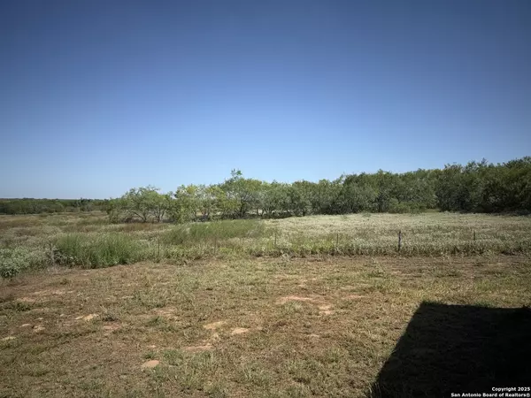 Stockdale, TX 78160,2015 County Road 420