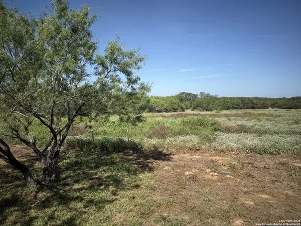 Stockdale, TX 78160,2015 County Road 420