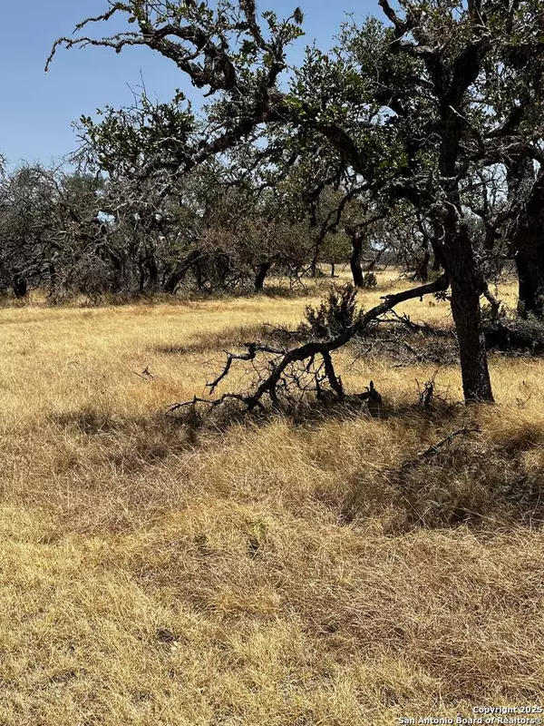 Harper, TX 78631,LOT 85 Stock Pond Dr.