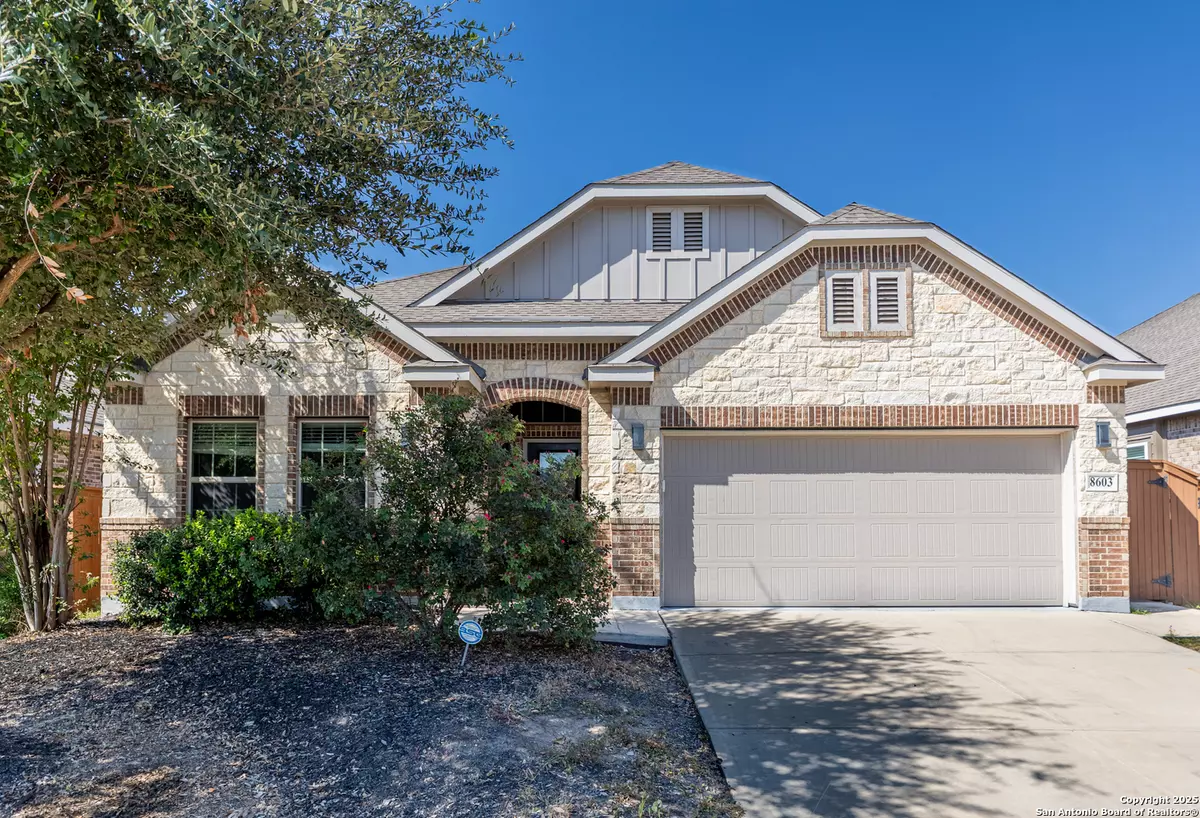 San Antonio, TX 78254,8603 pinto