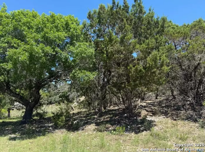 Canyon Lake, TX 78133,1352 Stardust Drive