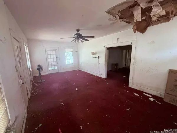 San Antonio, TX 78212,370 huisache