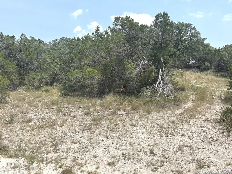 16 Contour Dr, Spring Branch, TX 78070