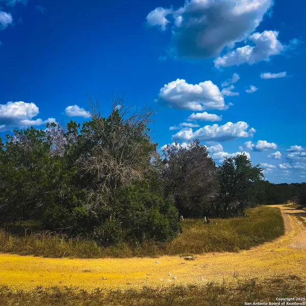 163 Angus, Spring Branch, TX 78070
