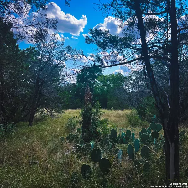 Spring Branch, TX 78070,163 Angus Trail