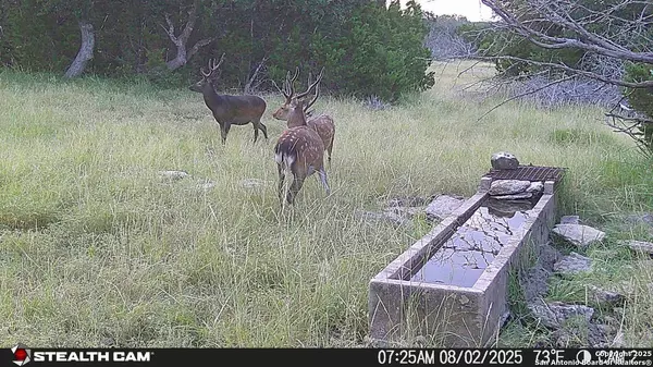 Mountain Home, TX 78058,116 U.S. Highway 83