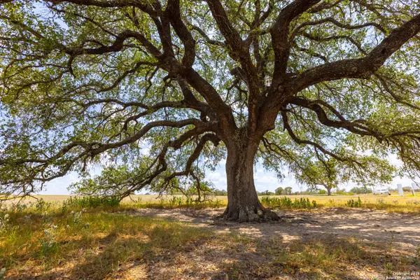 Floresville, TX 78114,2774 County Road 320