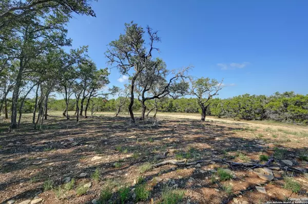 Blanco, TX 78606,TRACT 3 Pierson Road